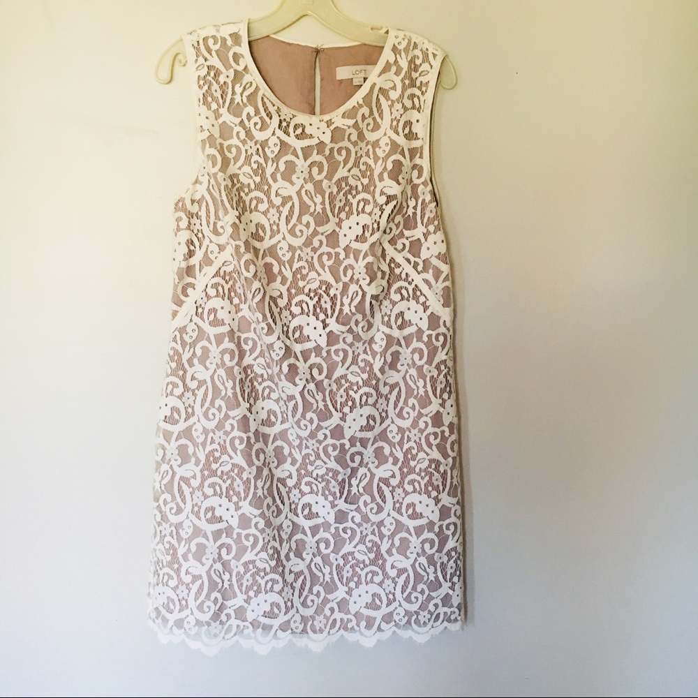 Gorgeous lace dress from LOFT!